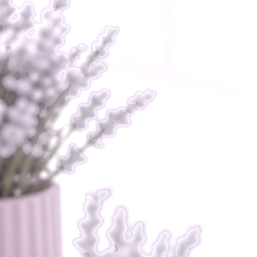 BeYoo Lavender Detail